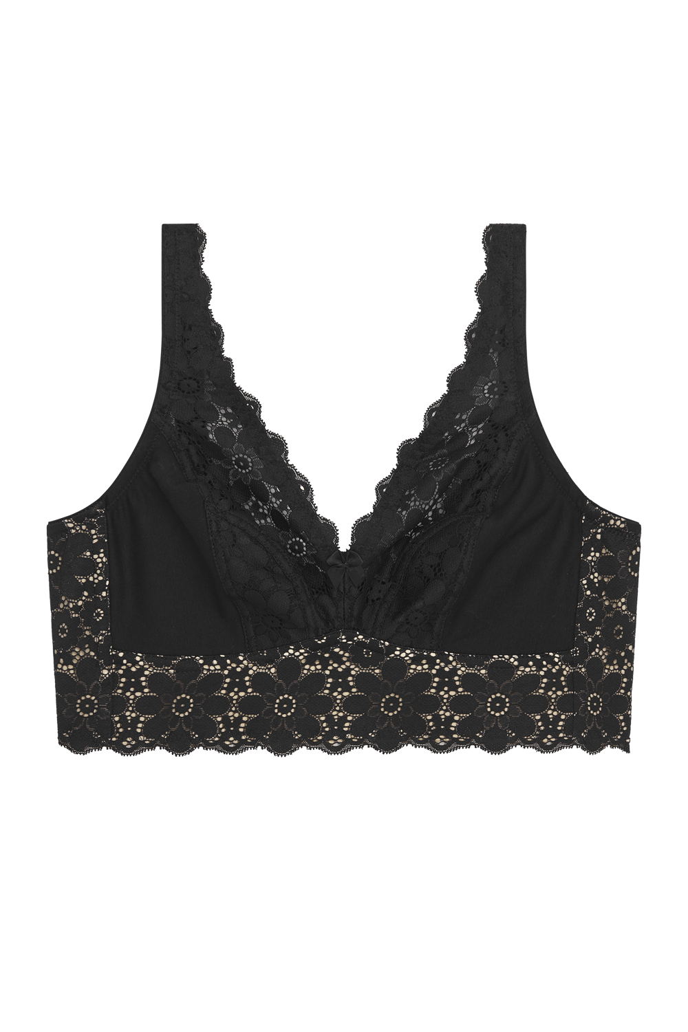 Lace Dreams bra