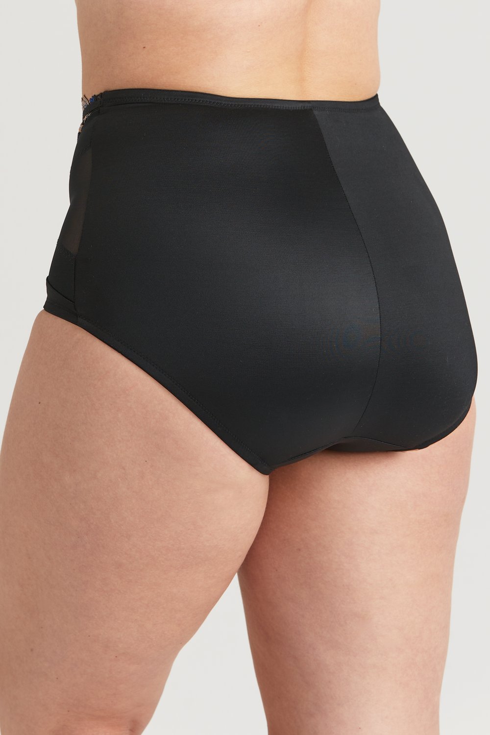 Embroidered Dreams panty girdle