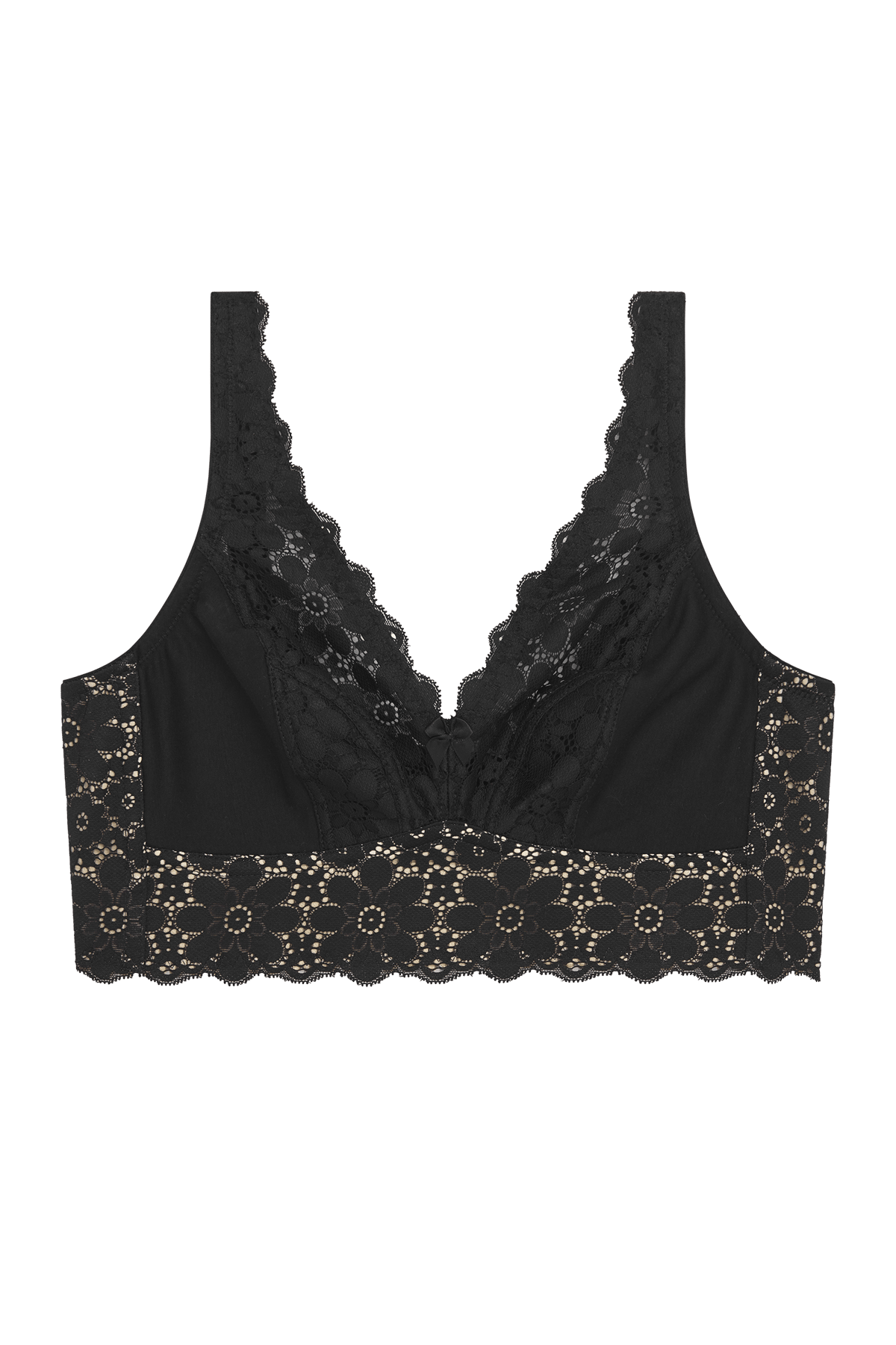 Lace Dreams bra