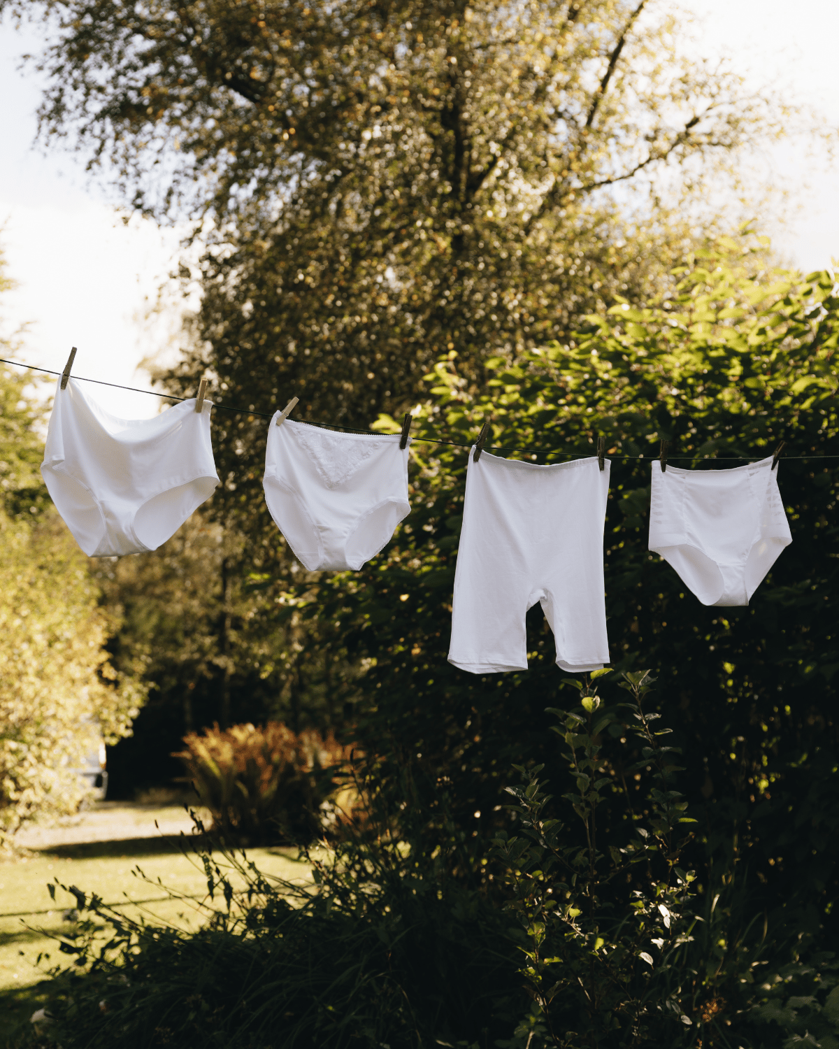 White undergarments hanging on a clothesline outdoors, surrounded by lush greenery and trees.